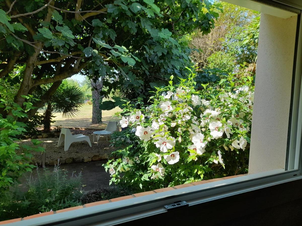 Boutenac Villa Aigues Vives מראה חיצוני תמונה