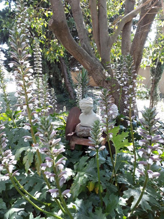 Boutenac Villa Aigues Vives מראה חיצוני תמונה